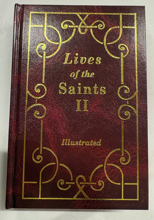 Lives of the Saints Vol 2 Book