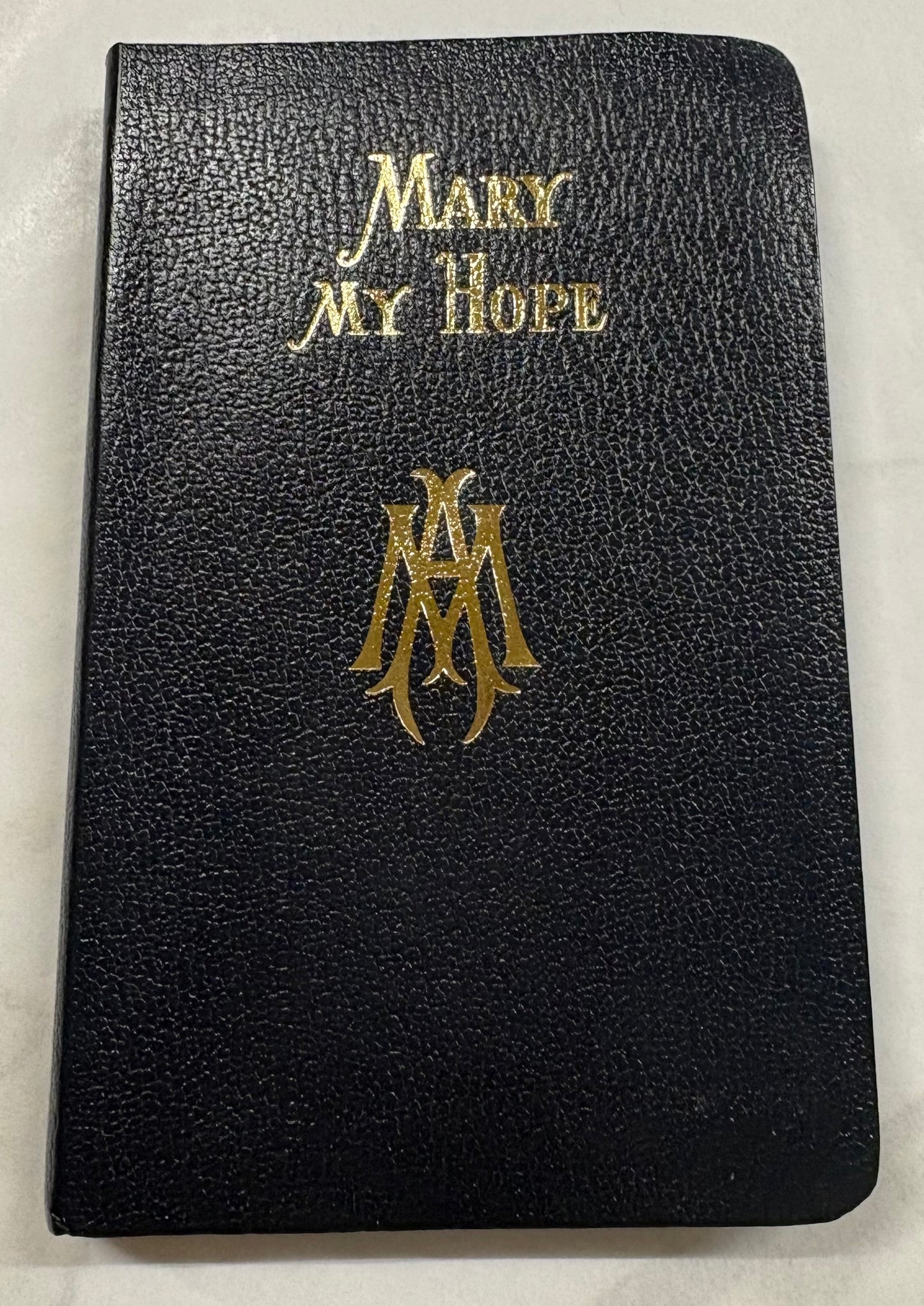 Mary My Hope Book