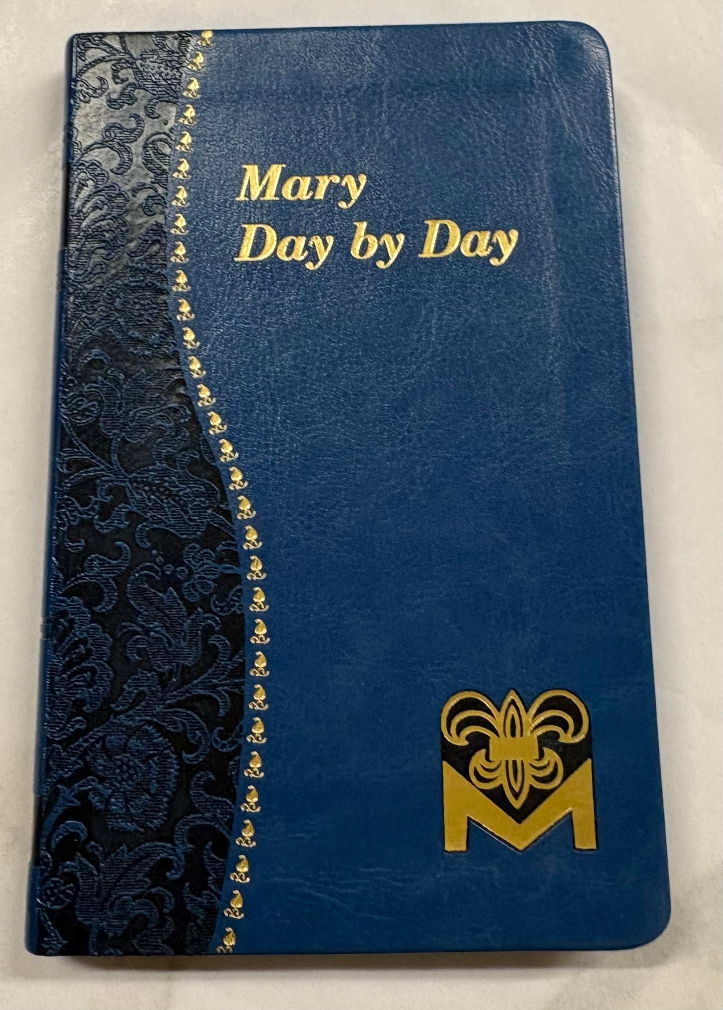 Mary Day by Day Book