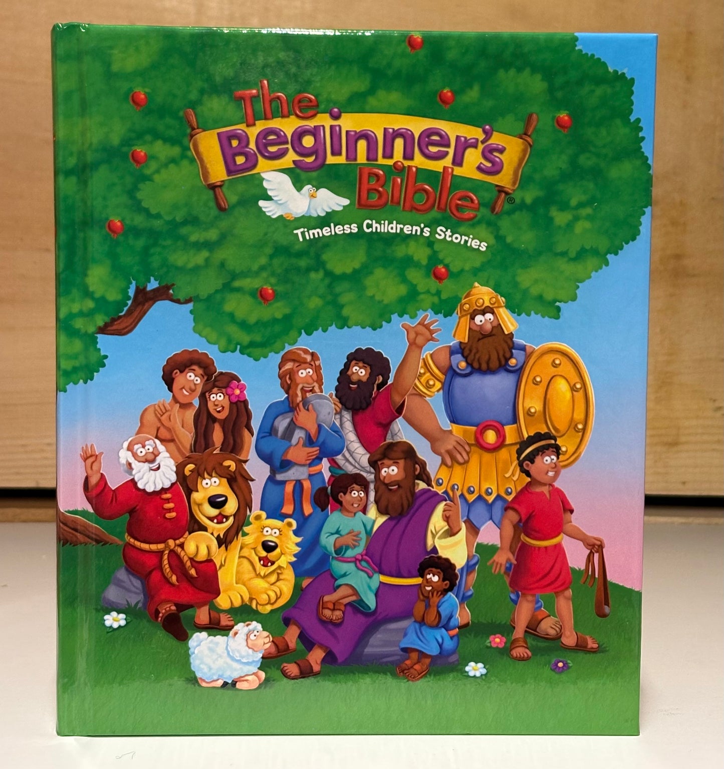 The Beginners Bible Childrens Book