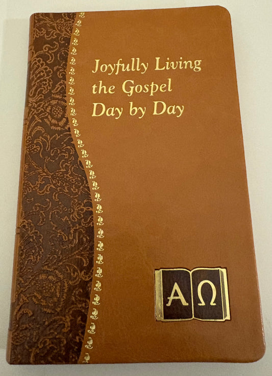 Joyfully Living the Gospel Day by Day Book