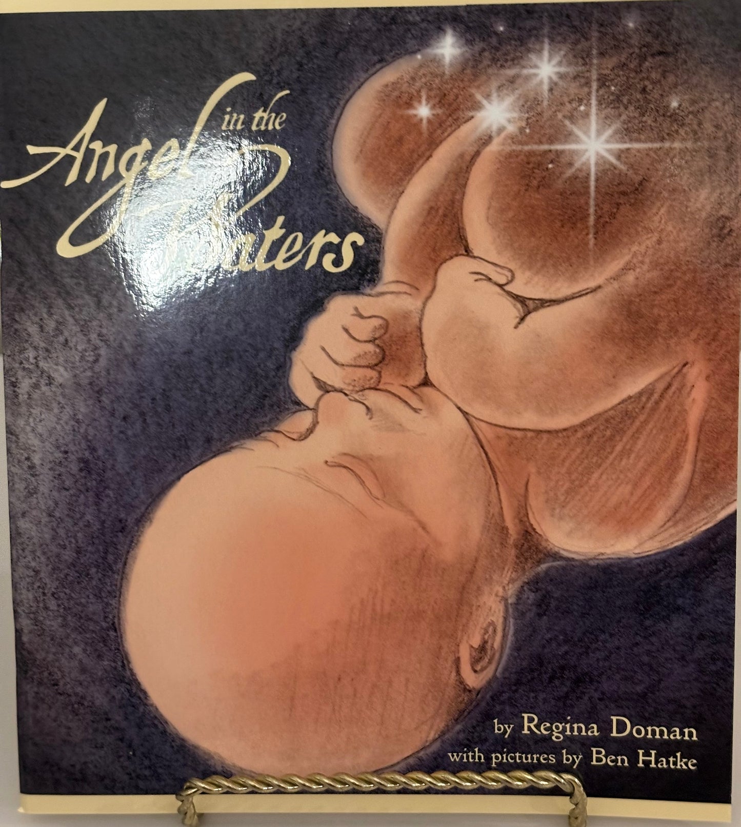 Angels In the Waters Book