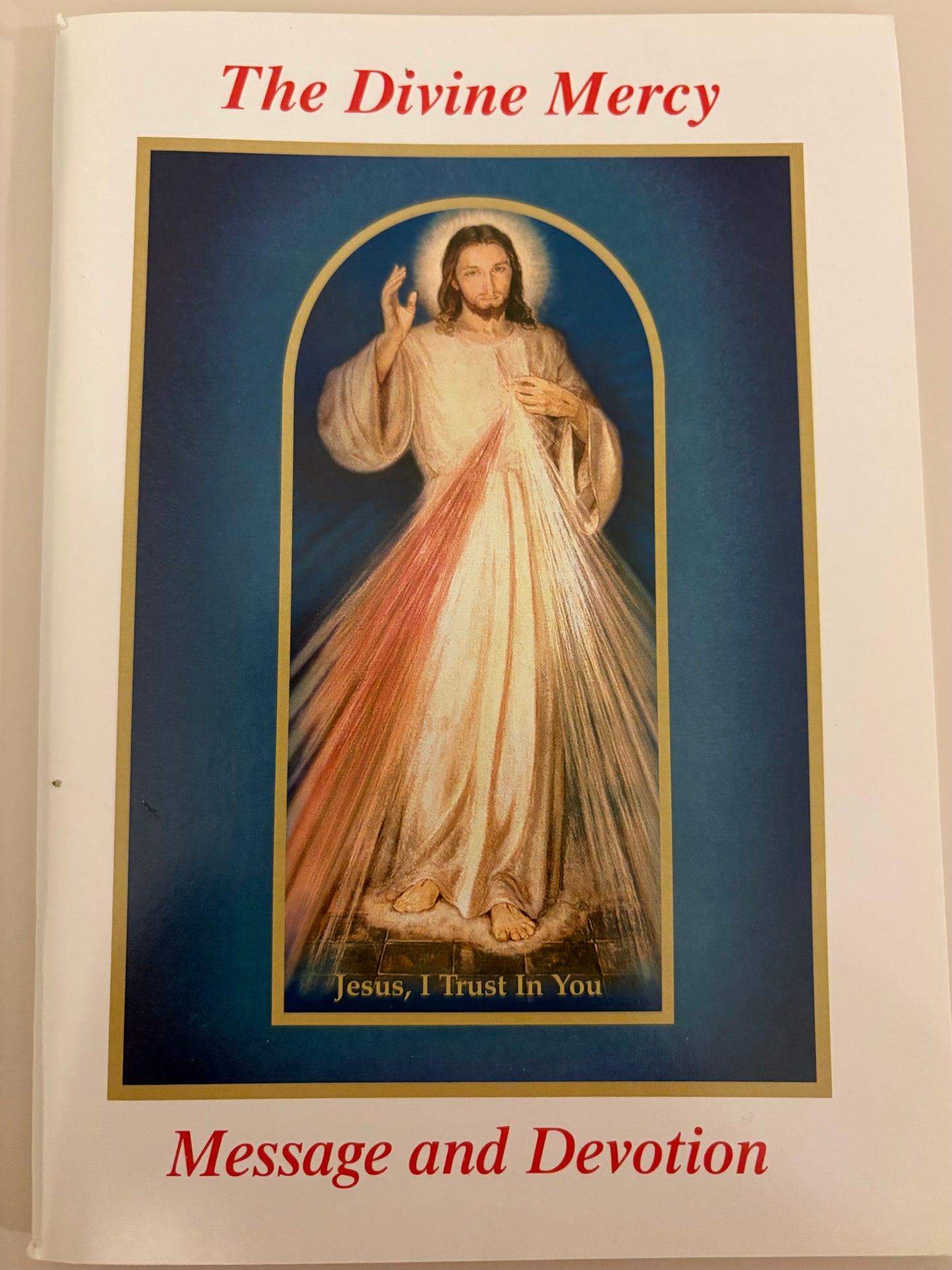 The Divine Mercy Prayer Book Large Print Book